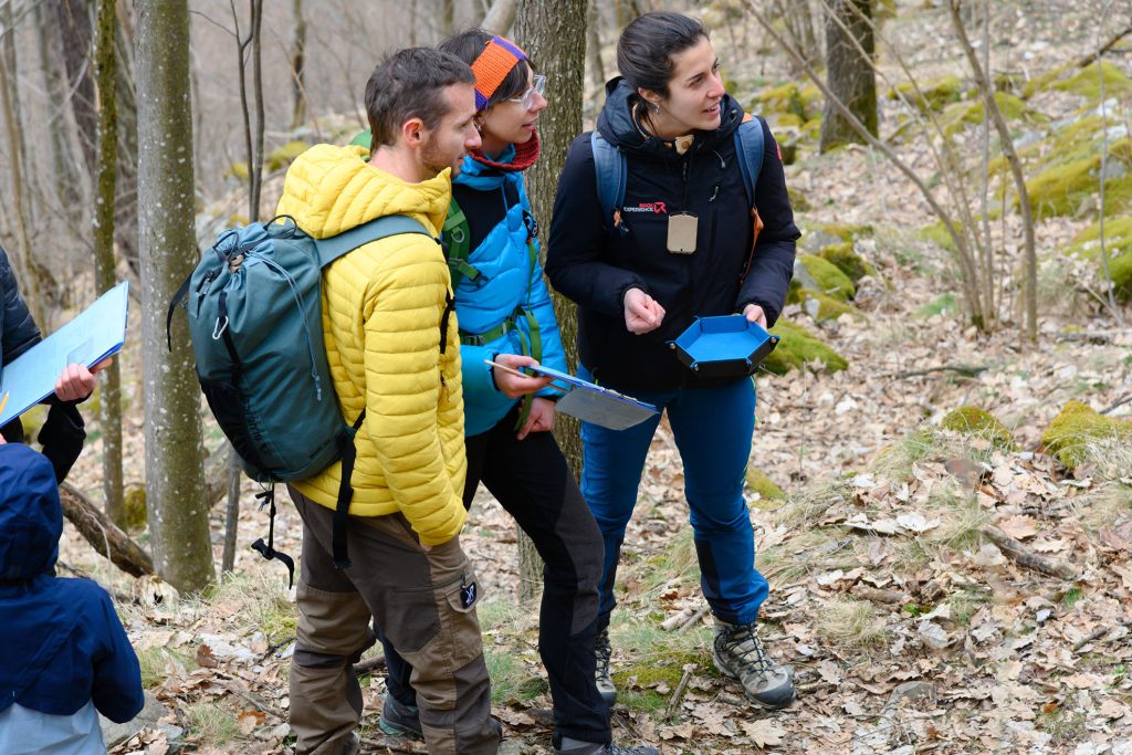 La gestione forestale è un gioco di squadra: i Forest Games a Ostana